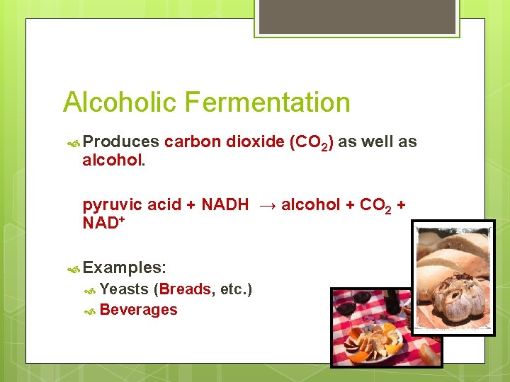 Alcoholic Fermentation Produces alcohol. carbon dioxide (CO 2) as well as pyruvic acid + Alcoholic Fermentation Produces alcohol. carbon dioxide (CO 2) as well as pyruvic acid +
