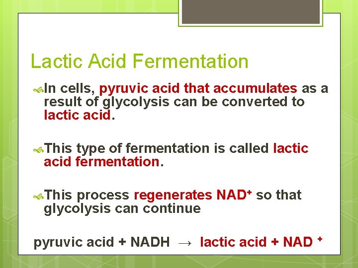 Lactic Acid Fermentation In cells, pyruvic acid that accumulates as a result of glycolysis