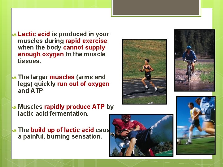  Lactic acid is produced in your muscles during rapid exercise when the body