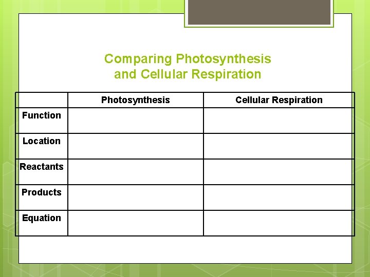 Comparing Photosynthesis and Cellular Respiration Photosynthesis Function Location Reactants Products Equation Cellular Respiration 