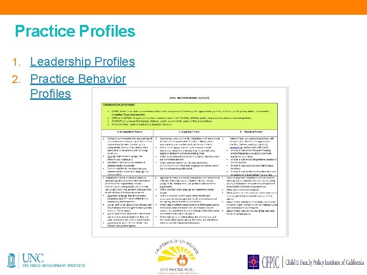 Practice Profiles 1. Leadership Profiles 2. Practice Behavior Profiles 