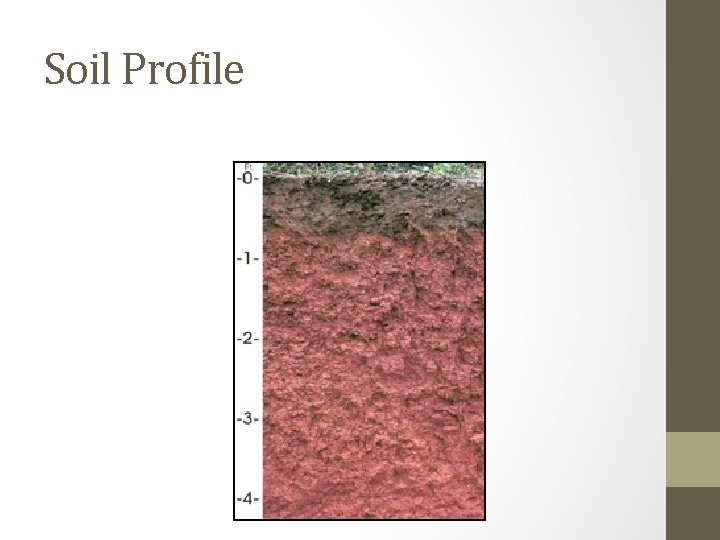 Soil Profile 