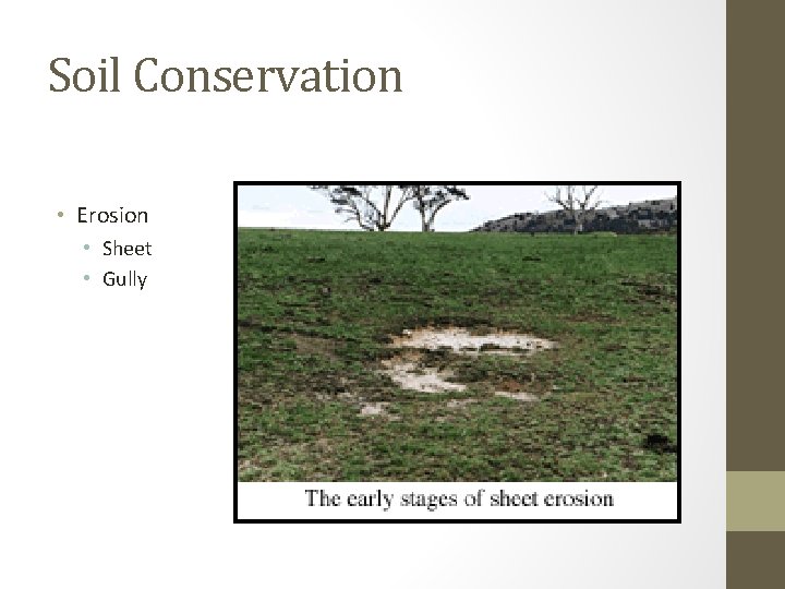 Soil Conservation • Erosion • Sheet • Gully 