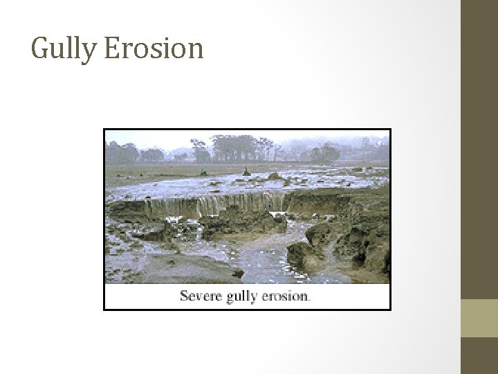 Gully Erosion 