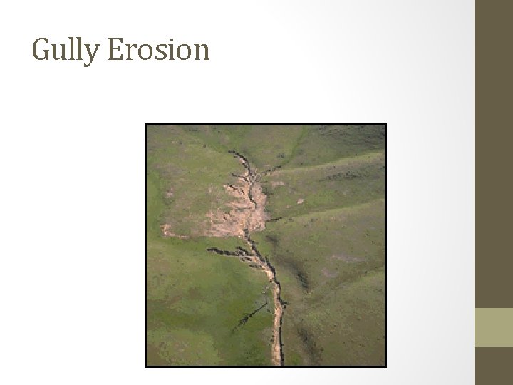 Gully Erosion 