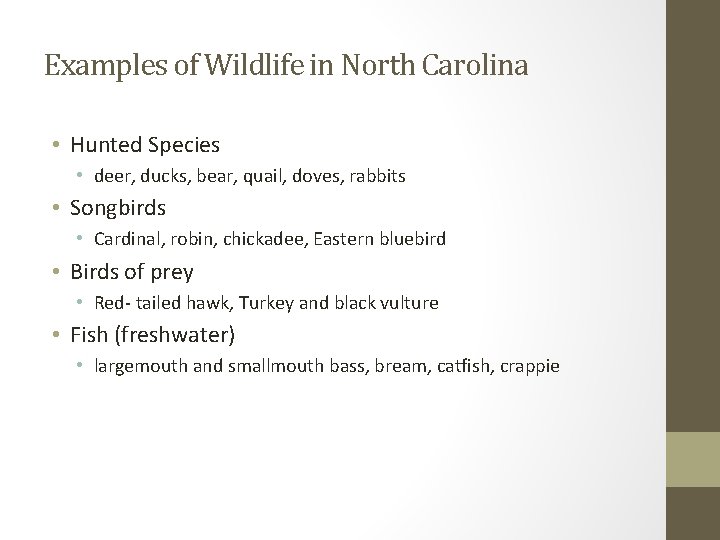 Examples of Wildlife in North Carolina • Hunted Species • deer, ducks, bear, quail,