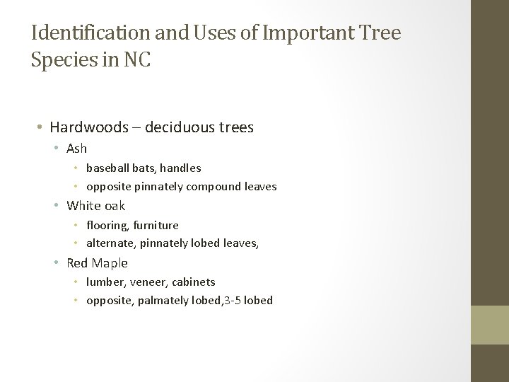 Identification and Uses of Important Tree Species in NC • Hardwoods – deciduous trees
