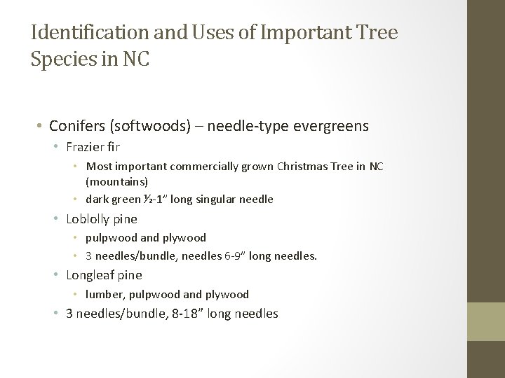 Identification and Uses of Important Tree Species in NC • Conifers (softwoods) – needle-type