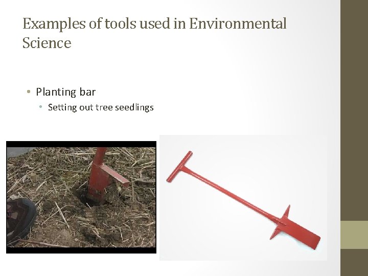 Examples of tools used in Environmental Science • Planting bar • Setting out tree