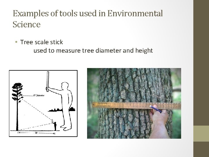 Examples of tools used in Environmental Science • Tree scale stick used to measure