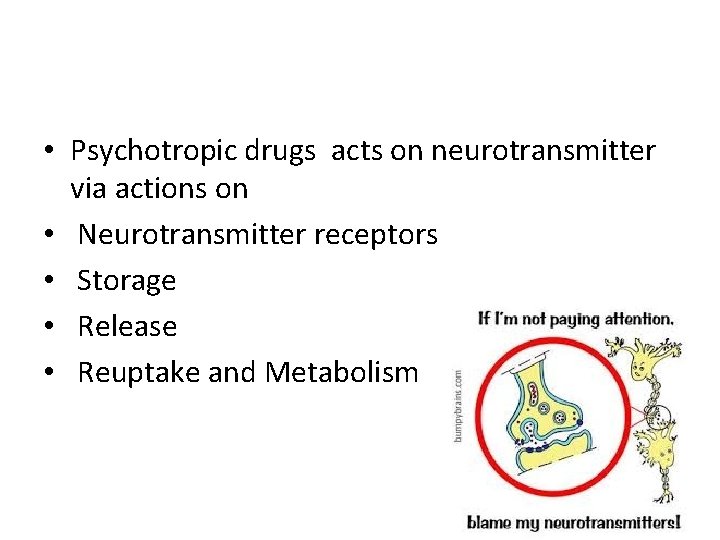  • Psychotropic drugs acts on neurotransmitter via actions on • Neurotransmitter receptors •