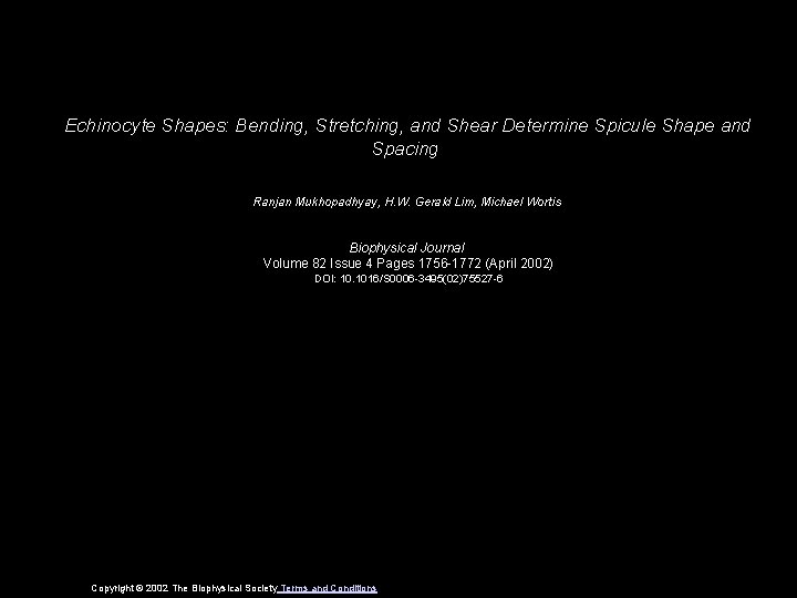 Echinocyte Shapes: Bending, Stretching, and Shear Determine Spicule Shape and Spacing Ranjan Mukhopadhyay, H.