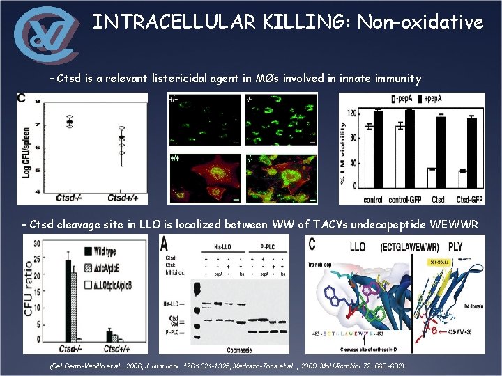 INTRACELLULAR KILLING: Non-oxidative - Ctsd is a relevant listericidal agent in MØs involved in