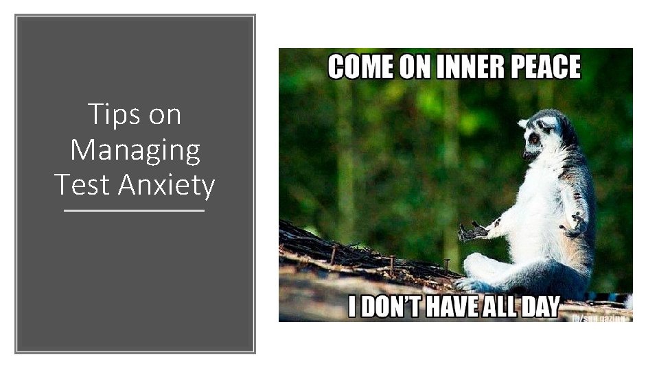 Did you manage the test