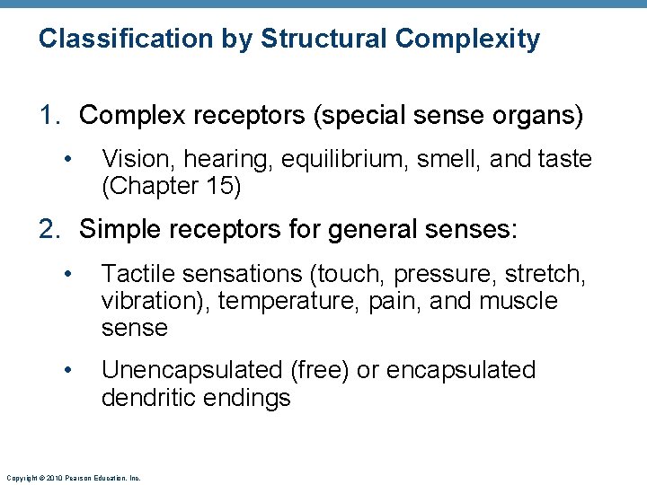 Classification by Structural Complexity 1. Complex receptors (special sense organs) • Vision, hearing, equilibrium,