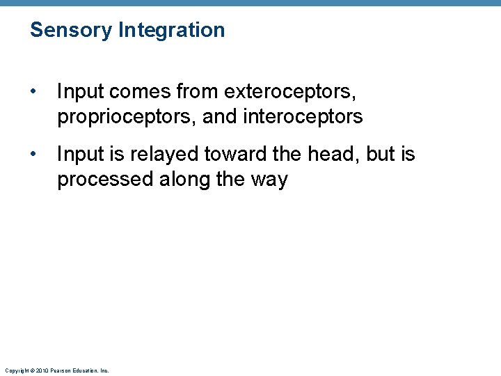 Sensory Integration • Input comes from exteroceptors, proprioceptors, and interoceptors • Input is relayed