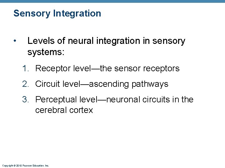 Sensory Integration • Levels of neural integration in sensory systems: 1. Receptor level—the sensor