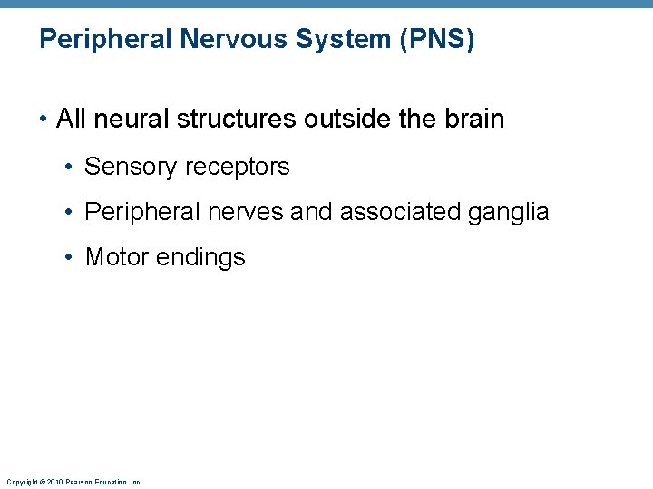Peripheral Nervous System (PNS) • All neural structures outside the brain • Sensory receptors