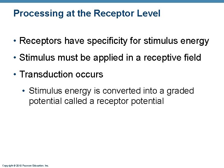 Processing at the Receptor Level • Receptors have specificity for stimulus energy • Stimulus