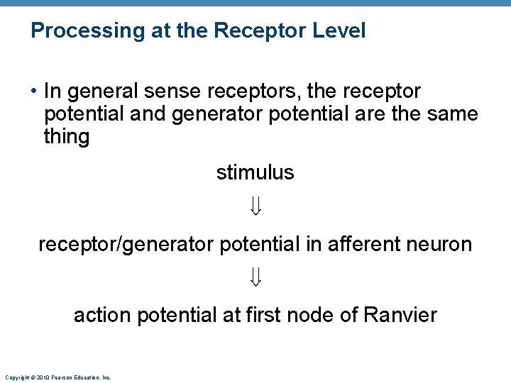 Processing at the Receptor Level • In general sense receptors, the receptor potential and