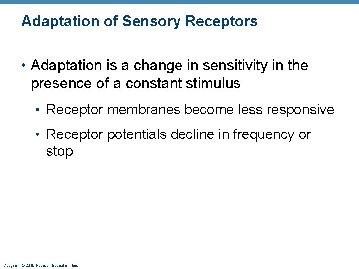 Adaptation of Sensory Receptors • Adaptation is a change in sensitivity in the presence