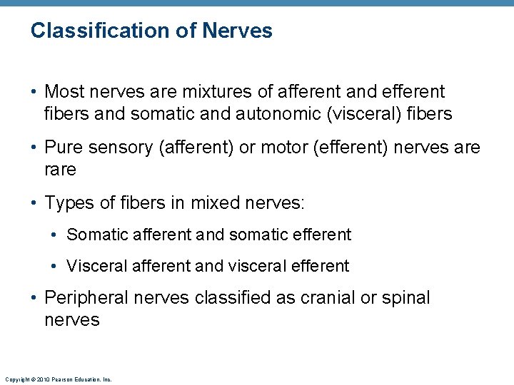 Classification of Nerves • Most nerves are mixtures of afferent and efferent fibers and