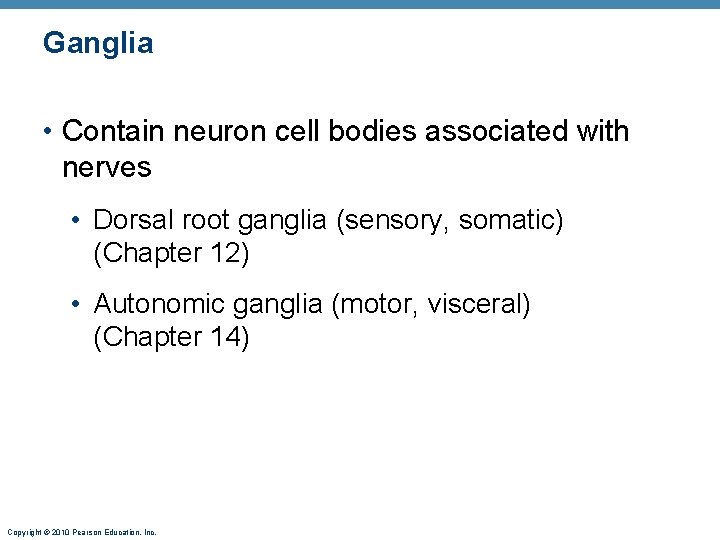 Ganglia • Contain neuron cell bodies associated with nerves • Dorsal root ganglia (sensory,