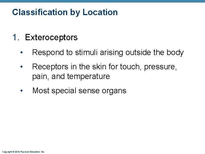 Classification by Location 1. Exteroceptors • Respond to stimuli arising outside the body •