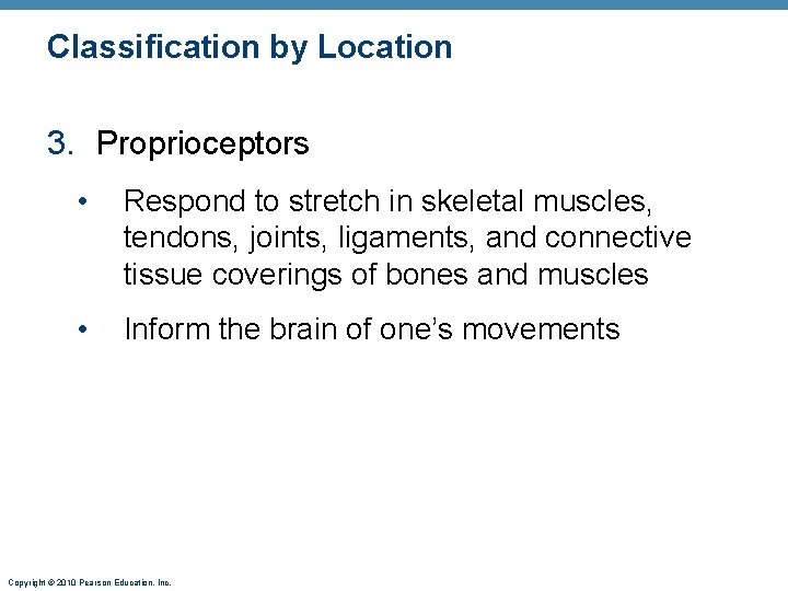 Classification by Location 3. Proprioceptors • Respond to stretch in skeletal muscles, tendons, joints,