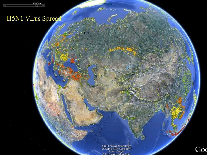 H 5 N 1 Virus Spread 