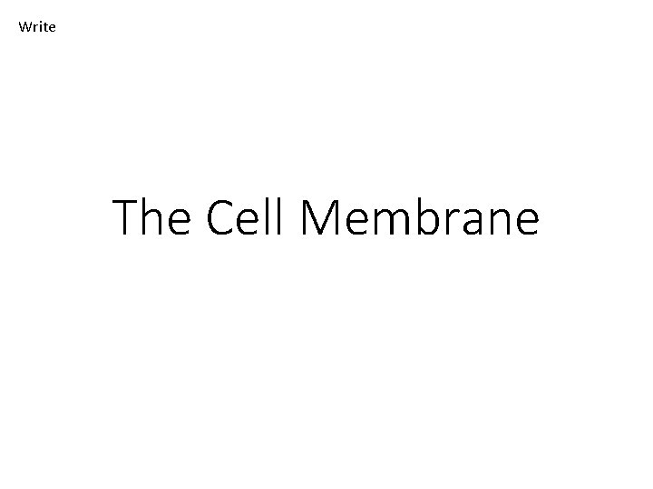 Write The Cell Membrane 