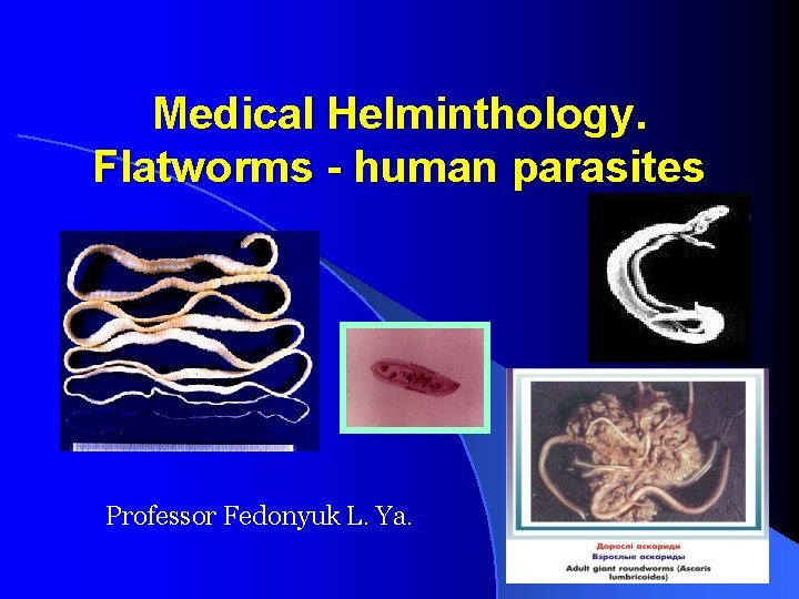 Medical Helminthology. Flatworms - human parasites Professor Fedonyuk L. Ya. 