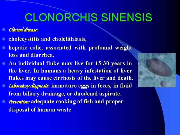 CLONORCHIS SINENSIS l Clinical disease: l cholecystitis and cholelithiasis, hepatic colic, associated with profound