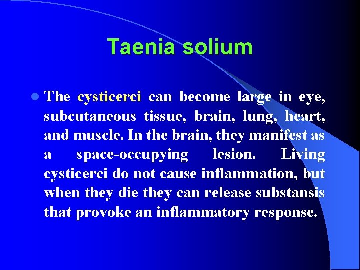 Taenia solium l The cysticerci can become large in eye, subcutaneous tissue, brain, lung,