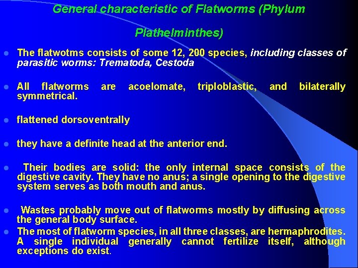 General characteristic of Flatworms (Phylum Plathelminthes) l The flatwotms consists of some 12, 200