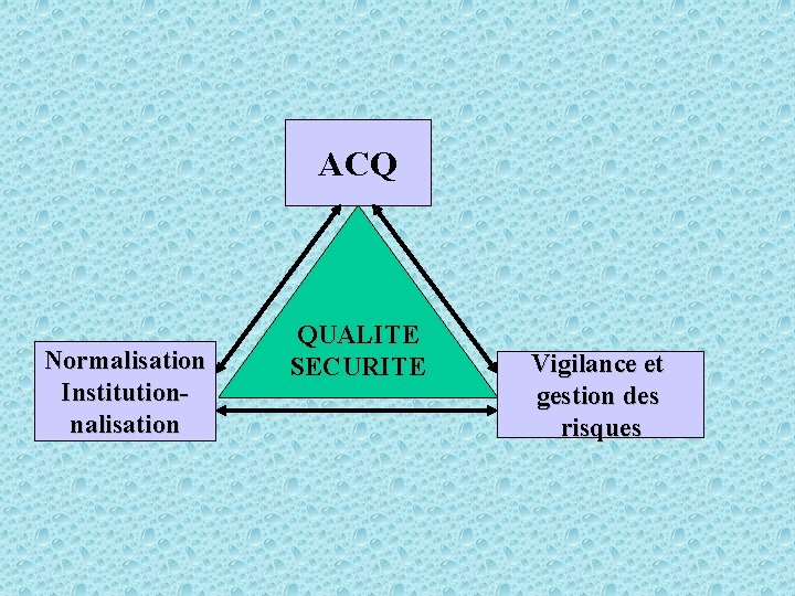 ACQ Normalisation Institutionnalisation QUALITE SECURITE Vigilance et gestion des risques 