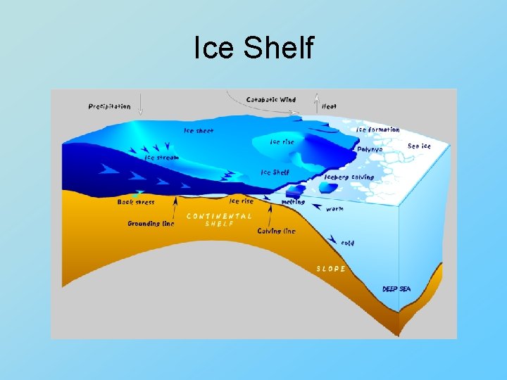 Ice Shelf 