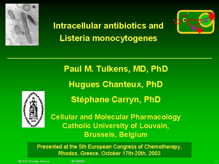 D* D Intracellular antibiotics and Listeria monocytogenes D Paul M. Tulkens, MD, Ph. D