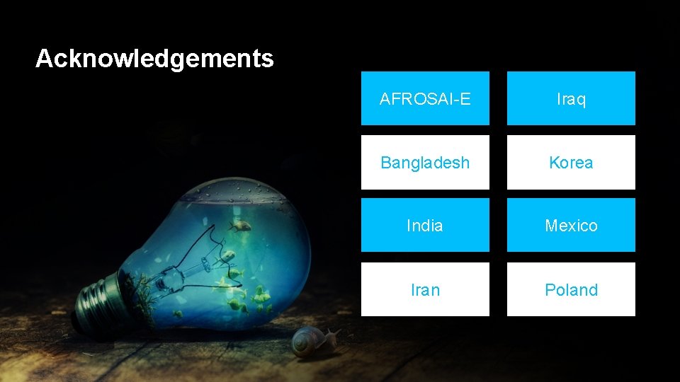  • Infographic Style Acknowledgements AFROSAI-E Iraq Bangladesh Korea India Mexico Iran Poland 