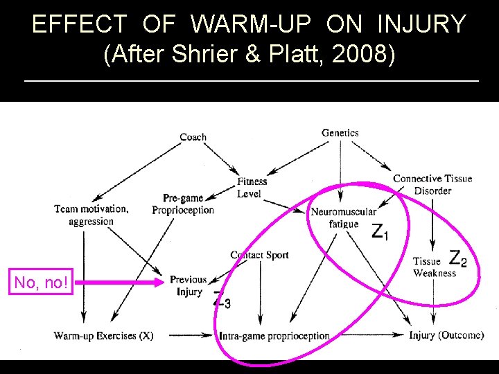 EFFECT OF WARM-UP ON INJURY (After Shrier & Platt, 2008) No, no! 