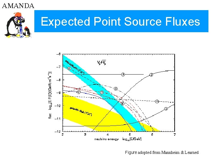 AMANDA Expected Point Source Fluxes Figure adopted from Mannheim & Learned 