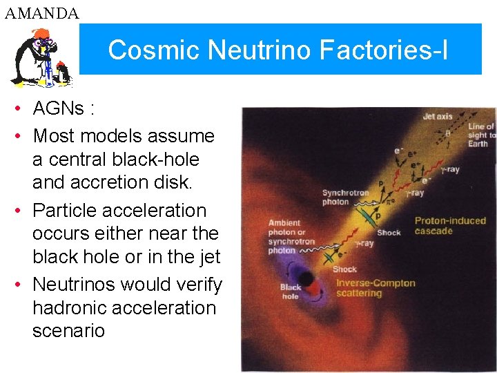 AMANDA Cosmic Neutrino Factories-I • AGNs : • Most models assume a central black-hole