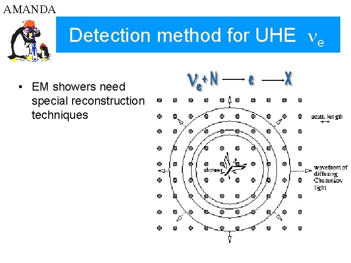 AMANDA Detection method for UHE ne • EM showers need special reconstruction techniques 