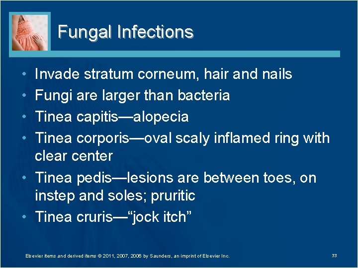 Fungal Infections • • Invade stratum corneum, hair and nails Fungi are larger than