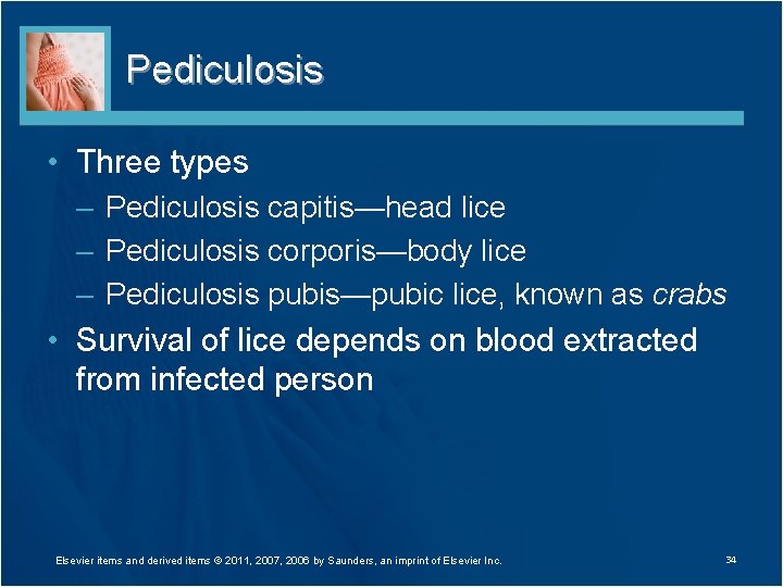 Pediculosis • Three types – Pediculosis capitis—head lice – Pediculosis corporis—body lice – Pediculosis