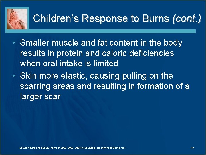 Children’s Response to Burns (cont. ) • Smaller muscle and fat content in the