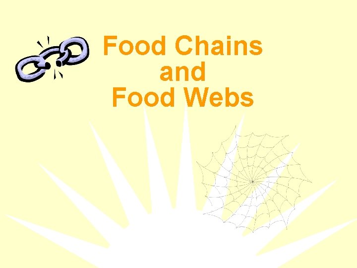 Food Chains and Food Webs 