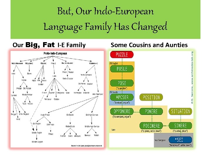 But, Our Indo-European Language Family Has Changed Our Big, Fat I-E Family Some Cousins