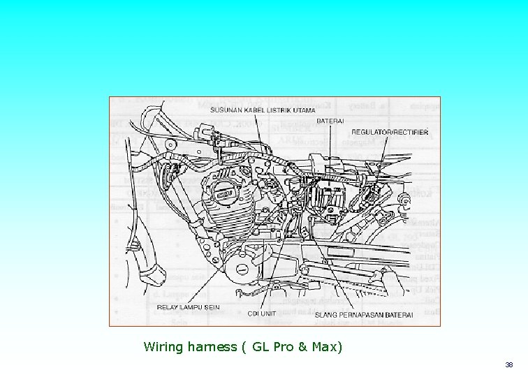 Wiring harness ( GL Pro & Max) 38 