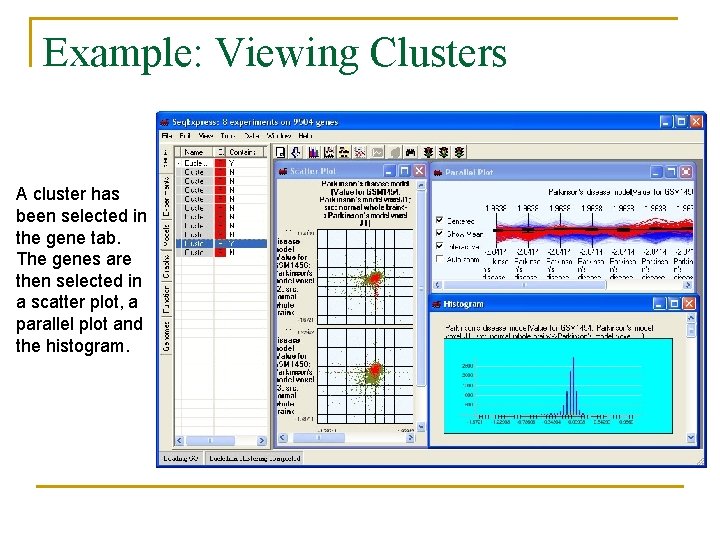 Example: Viewing Clusters A cluster has been selected in the gene tab. The genes